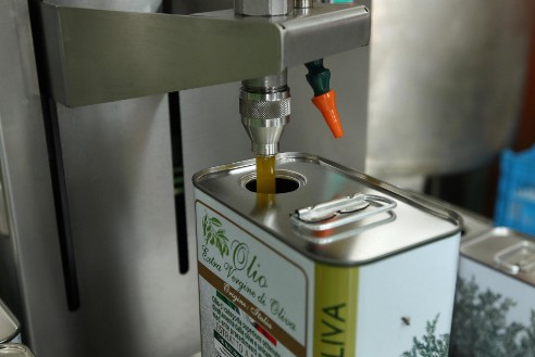 lattine di olio extra vergine cultivar coratina